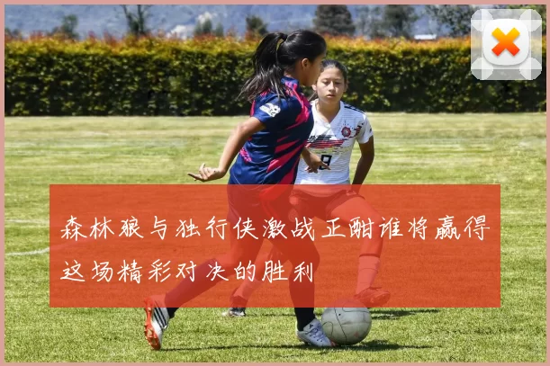 森林狼与独行侠激战正酣谁将赢得这场精彩对决的胜利