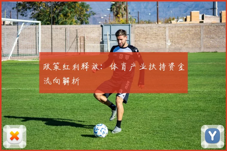政策红利释放：体育产业扶持资金流向解析