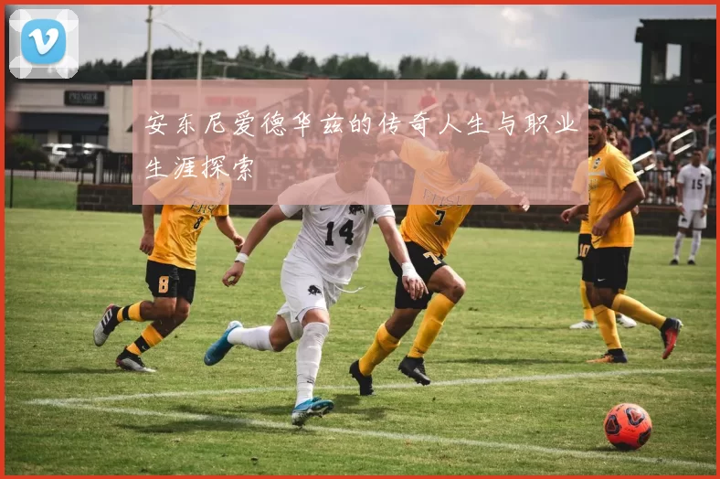 安东尼爱德华兹的传奇人生与职业生涯探索